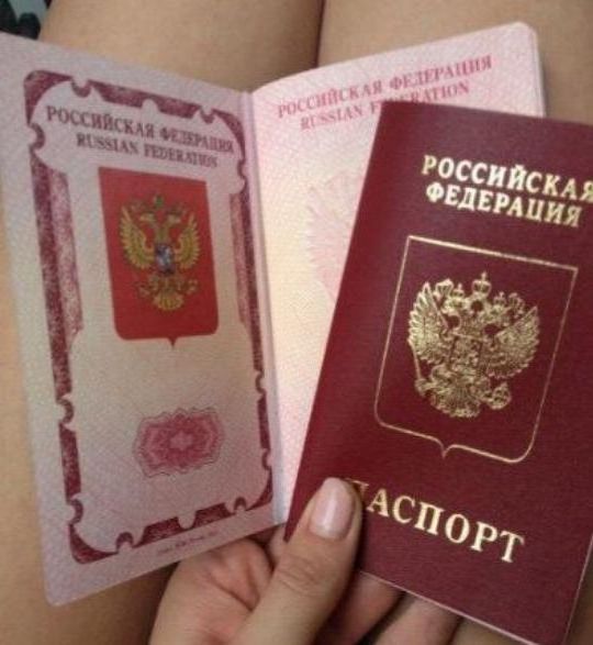 прописка в Невеле